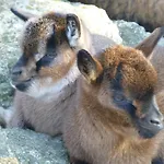 Eden Parque de Campismo 4*